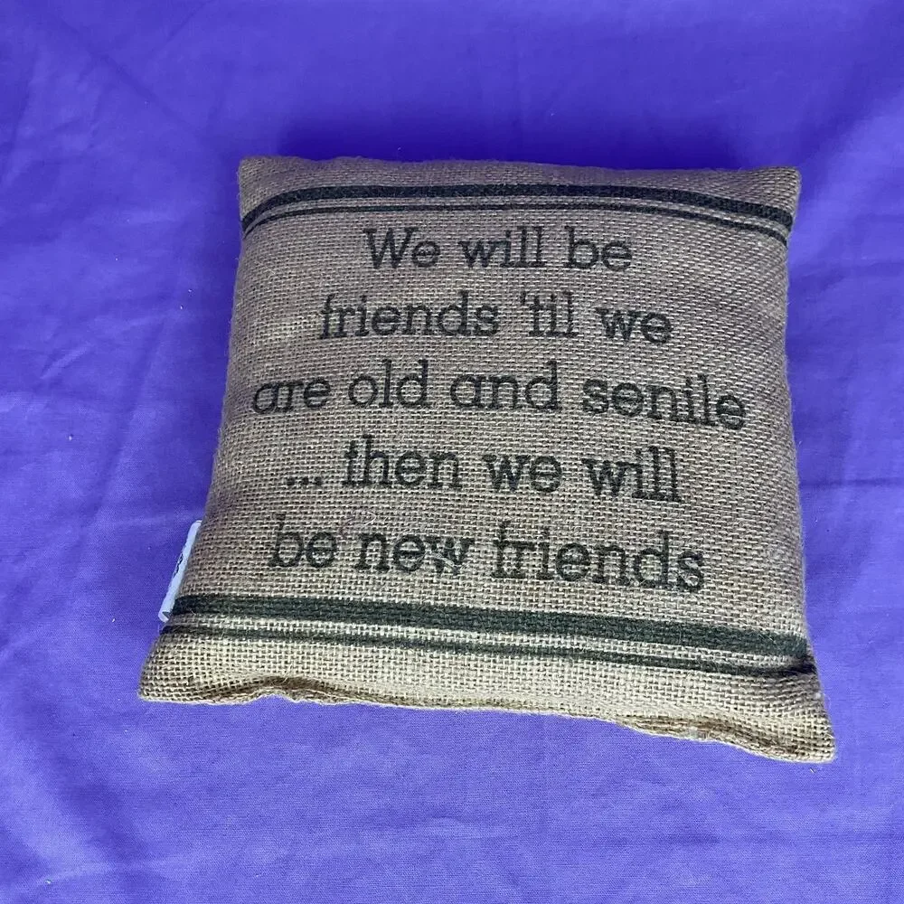 Burlap Friendship Accent Pillow - Funny Best Friends Quote Decor Pillow
